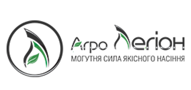 тимбілдинг Супер Маріо, мотузковий квест, творчий тимбілдинг картономанія